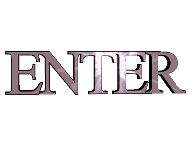 Enter Website